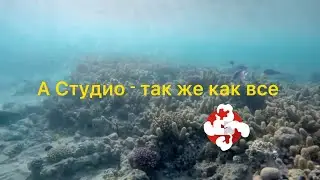 А Студио - так же как все ( слова песни )