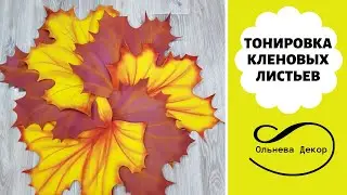 ТОНИРОВКА КЛЕНОВЫХ ЛИСТЬЕВ. Рабочие моменты в Студии Больших цветов от Olneva Decor