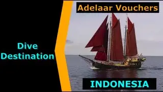 Diving Indonesia - Adelaar Vouchers, Destination Spotlight for Scuba.Digital The #1 Online Dive Show