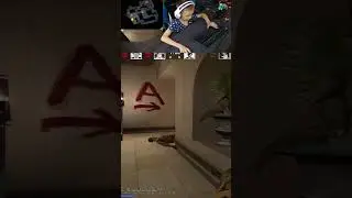 8 YEARS OLD PRO 