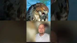 Wrong Place, Wrong Time