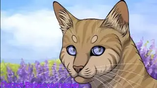 Коты воители|Песня Верескоглазки|идиоты