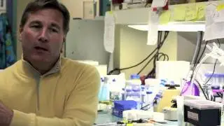 Canary Foundation Founder Don Listwin