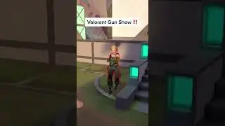 We hosted a VALORANT SKIN SHOW (Part three) 🔫