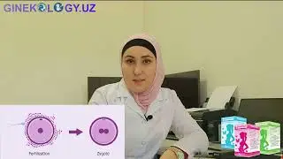 O‘ng follikula yorilsa o‘g‘il, chap tomon yorilsa qiz bo‘ladimi?