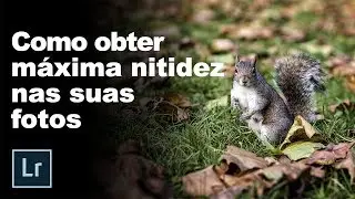 Como obter máxima nitidez nas suas fotos