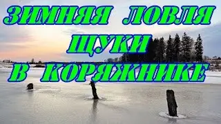 Зимняя ловля щуки в коряжнике.