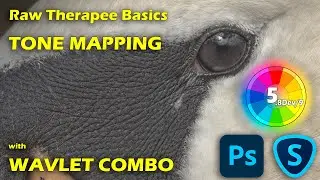 Raw Therapee Basics: Tone Mapping, Texture & Detail Extraction with Wavelets