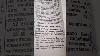 Грядущий царь.Суд
