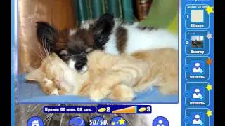 Игра Найди кота Одноклассники как пройти 431, 432, 433, 434, 435 уровень, ответы?