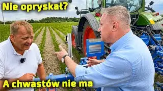 Carre weeding demonstration in Przybroda