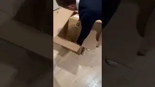 Unboxing something for my next video 