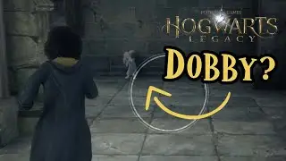 Hogwarts Legacy - I found Dobby!