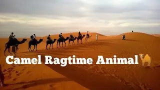 Camel Ragtime animal New Ringtone 2023|Love Ringtone|Best Ringtones|Hindi Ringtone|Top 10 Trending