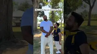 🗣️🐶