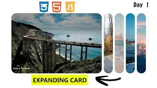 Amazing Expanding Accordion Cards | Create Expanding Image Gallery Using HTML CSS and Js 