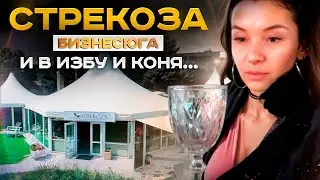 #Бизнесюга | Стрекоза