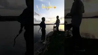 Хаски ест землю