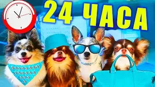 24 ЧАСА В ОДНОМ ЦВЕТЕ В ПОХОДЕ ГЛАЗАМИ СОБАК БЛОГЕРОВ! ЕДА ОДНОГО ЦВЕТА