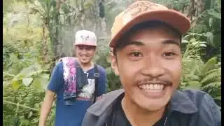 Gathering Mountain | Wild Flower | Hunting Spot