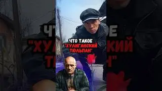Что такое «Хулиганский тюльпан»