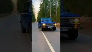 Лесная атмосфера🌲🪵🍄 