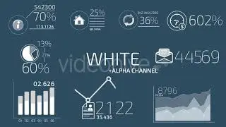 Flat Animated Icons Business Infographics | Motion Graphics - Envato elements
