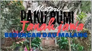 Misteri Paku Bumi Tanah Jawa di Bedengan Dau Malang