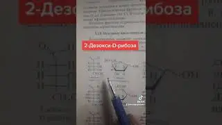 2-Дезокси-D-рибоза