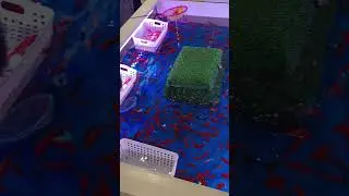 Kids Learning Fishing #fishing #smallfishes #viralvideo #short