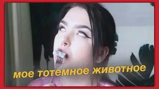 вот почему марина лакшис мое тотемное животное