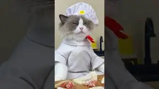 Dumpling machine - is it going to work this time?! 