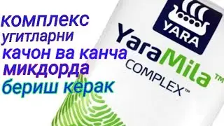 Комплекс угитлардан качон ва кандай фойдаланиш керак