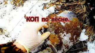 Первый КОП МОНЕТ и других НАХОДОК в 2024 году. Обзор обновок.
