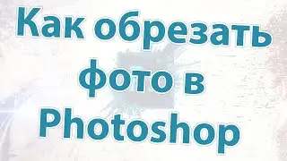 Как обрезать фото в Фотошопе под размер или по контуру 💡