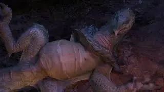 Lizard vore [NO SOUND]