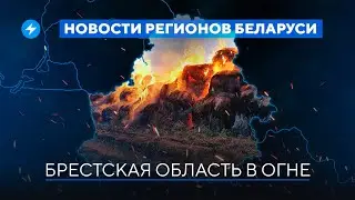Силовики атакуют регионы / Чиновники в Орше скупают автомобили // Новости регионов Беларуси
