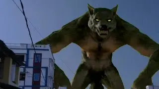 wolf / animation / creature animal / wolf man / graphics / green screen wolf / creature
