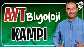 AYT Biyoloji Kampı 2025 |   3. gün  🔬 | SİNİR SİSTEMİ 1  Konu Anlatımı