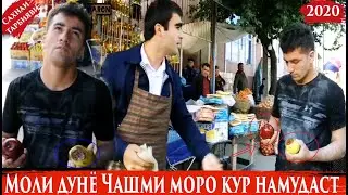 Моли ДУНЁ Чашми моро курнамудаст бехтарин Сахнаи тарбияви