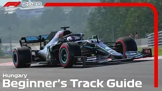 F1 2020 Track Guide: Hungary Hotlap + Setup (