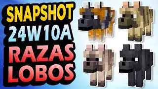 ✅ 8 RAZAS de LOBOS 👉 Snapshot 24W10A Minecraft 1.21