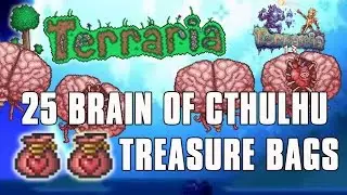 Terraria Loot From 25 Brain of Cthulhu Treasure Bags - Terraria 1.3.3 Expert Mode