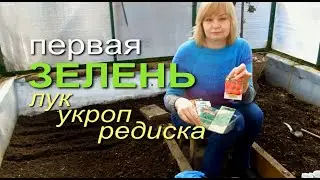 РАННЯЯ ПОСАДКА ЗЕЛЕНИ В ТЕПЛИЦЕ! ЛУЧОК, УКРОП, ШПИНАТ, РЕДИСКА! Советы от ЗЕЛЕНОГО ОГОРОДА!