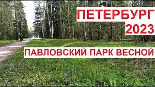 Павловский парк весной | #Петербург, середина мая 2023