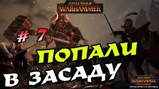 Total War Warhammer. Хаос # 7. На легенде. Попали в засаду!