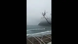 Новый Свет Крым 2021. Туман, шум моря в зелёной бухте.