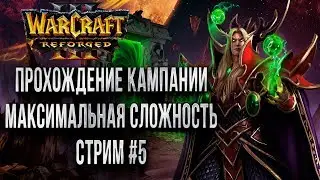 ПРОХОЖДЕНИЕ КАМПАНИИ ПРОКЛЯТИЕ ЭЛЬФОВ КРОВИ: Warcraft 3 Reforged