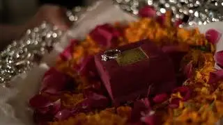 Wedding HD Stock Video | Free stock footage | Free HD Videos - No Copyright | Channel Video Editor