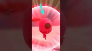 Did You Notice That Animation Error In Miraculous Ladybug Origins? 